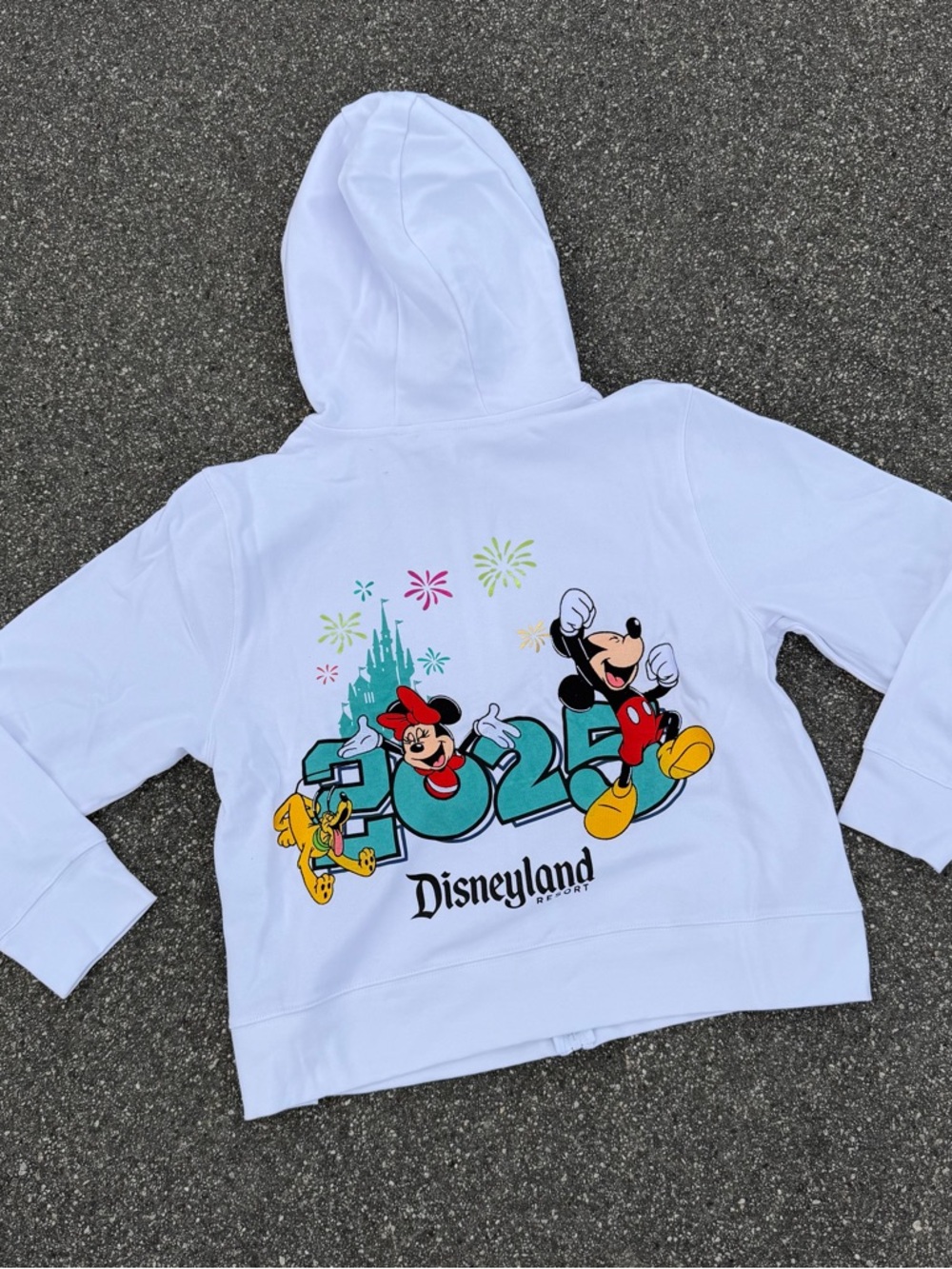 Disneyland Resort 2025 Zip Up Hoodie